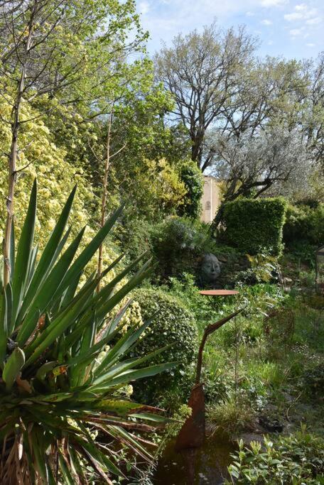 Séguret La Petite Maison Des Artistes מראה חיצוני תמונה